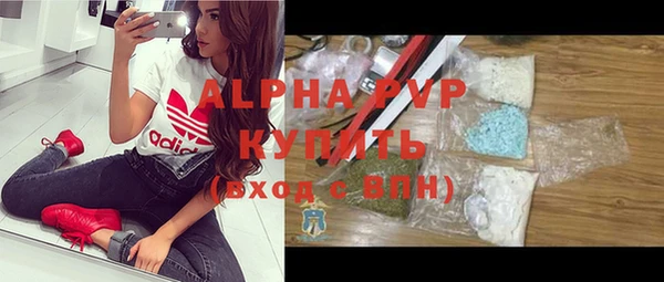 молекула духа Алексин