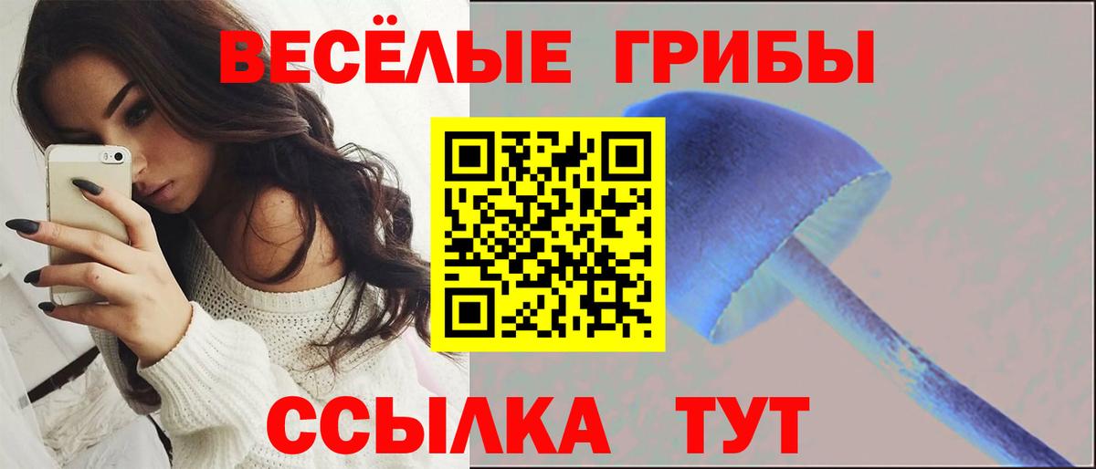 Галлюциногенные грибы прущие грибы  Псилоцибиновые грибы Cubensis  Ишим  Вход с VPN 